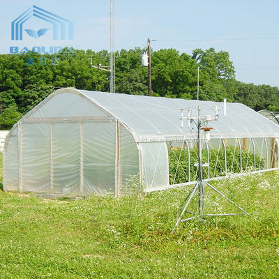 농업 농업을 성장시키는 야채를 위한 터널 단동 온실