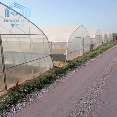 농업 농업을 성장시키는 야채를 위한 터널 단동 온실