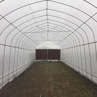 고온 침지 직류 전기로 자극된 분야 생태학적 농업 온실 플라스틱 박막 온실