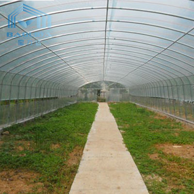 헤밍 폴리에틸렌 필름 단동 터널 플라스틱 온실을 성장시키는 농업 발전소