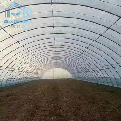 농업 단동 터널 딸기 PE 온실 터널 플라스틱 온실