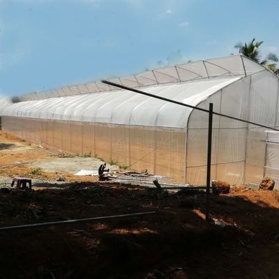 활성화된 야채 터널 플라스틱 박막 온실 단동 고온 침지