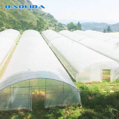 활성화된 야채 터널 플라스틱 박막 온실 단동 고온 침지