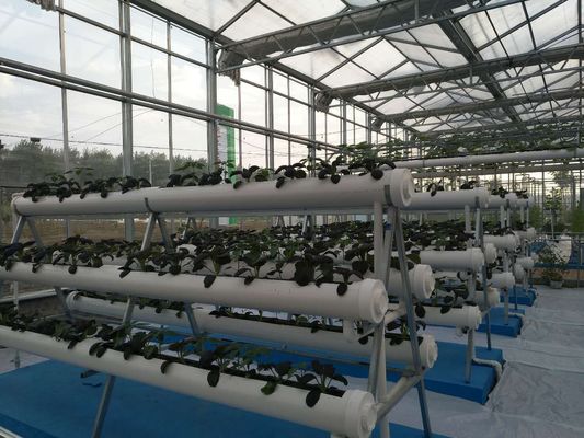 농업 온실을 위한 유형 탑 수경법 시스템