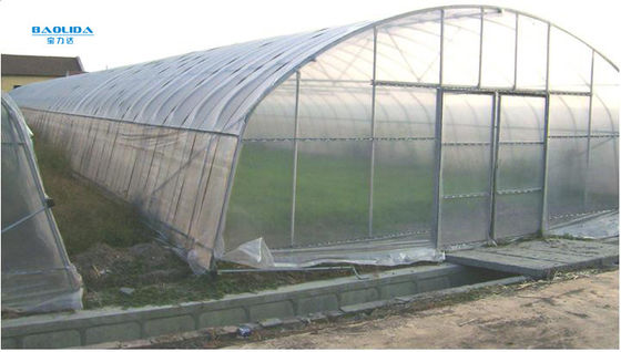 경작하는 야채를 위한 단동 플라스틱 터널 온실 폴리에틸렌 필름 온실