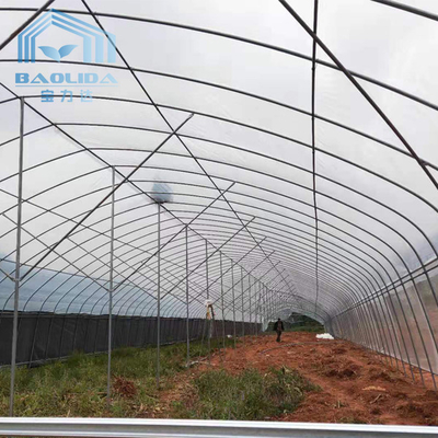 성장하는 농업 공장을 위한 아연 도금 강관 단일 폭 영화 상업적 터널 플라스틱 온실