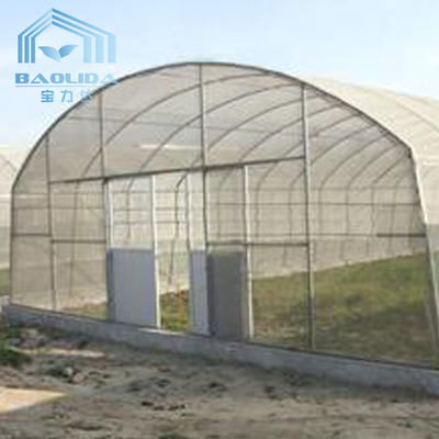 딸기를 위해 농업인 플라스틱 터널 단동 온실