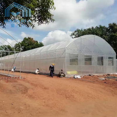 플랜팅하는 야채를 위한 열대 고딕양식 높은 터널 플라스틱 박막 온실