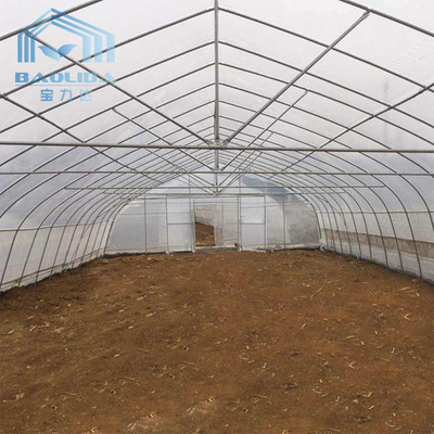 폴리 터널 철골 이중막과 농업 플라스틱 단동 온실