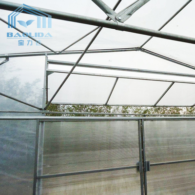 냉각 시스템과 지붕 배기 터널 플라스틱 온실