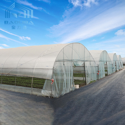 냉각 시스템과 지붕 배기 터널 플라스틱 온실