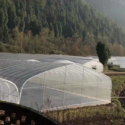 식물 성장을 위한 폴리에틸렌 필름 온실 아그리트컬쳐 터널 플라스틱 온실