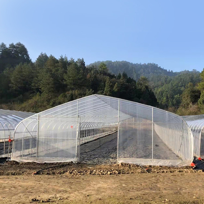 식물 성장을 위한 폴리에틸렌 필름 온실 아그리트컬쳐 터널 플라스틱 온실