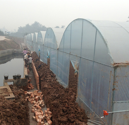 농업인 다중 전폭 주요한 플라스틱 박막 온실 도마도 딸기