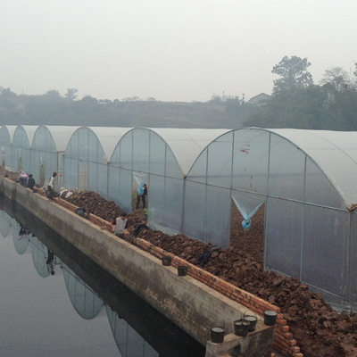 농업인 다중 전폭 주요한 플라스틱 박막 온실 도마도 딸기