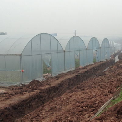 수경법인 높은 터널 폴리에틸렌필름 다중 전폭 온실 자동 제어 농업