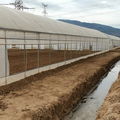 상업적인 폴리 막 주요한 터널 농업 야채 플라스틱 박막 온실