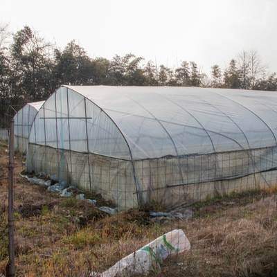 투명한 열대 단동 플라스틱 틈새 온실 농업 터널