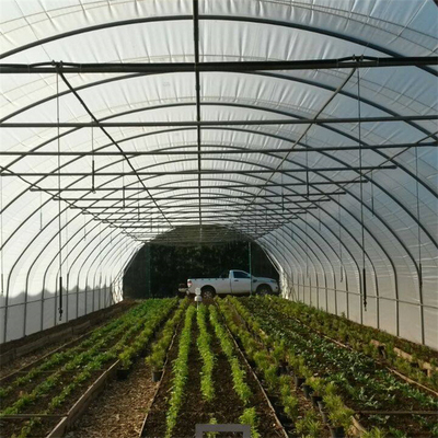 성장성을 경작하는 수경법 금속 프레임 터널 단동 온실 농업
