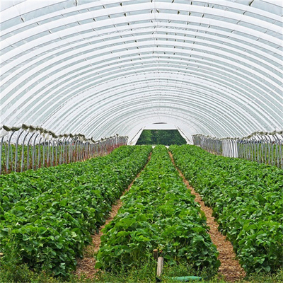 성장성을 경작하는 수경법 금속 프레임 터널 단동 온실 농업