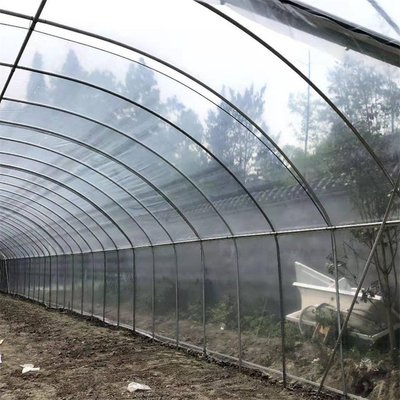 단동 플라스틱 터널 온실 딸기 수경법 증가하는 시스템