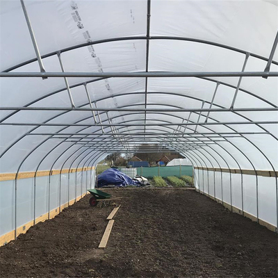 양배추 농업 단일 폭 10m 폭 터널 플라스틱 온실을 성장시키는 폴리에틸렌필름
