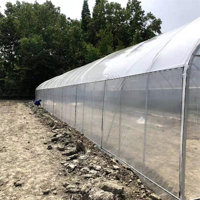 단동 플라스틱 터널 온실 딸기 수경법 증가하는 시스템