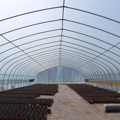 야채 성장을 커버하는 고전적 표준 온실가스 터널 플라스틱 시트