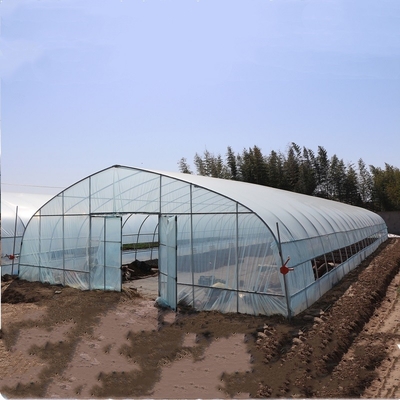 이식을 위한 농업 높은 테 아크 폴리에틸렌 필름 온실