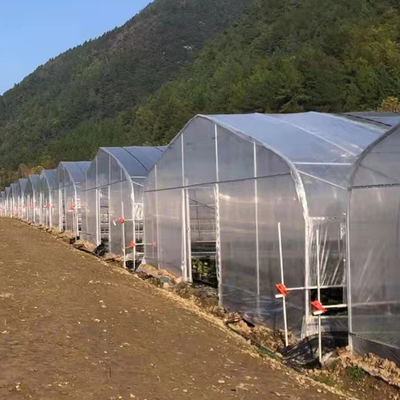 열대 터널 플라스틱 온실 / 주문 제작된 농업 온실