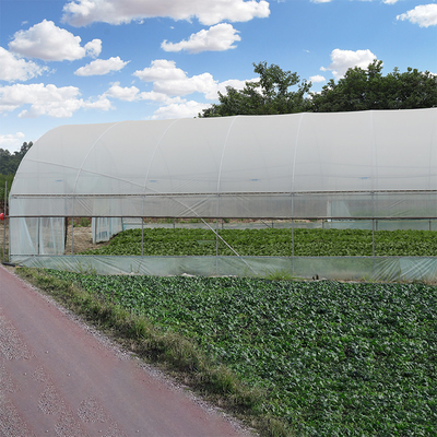 틈새 농업 8M 단동 높은 터널 온실을 커버하는 플라스틱 박막
