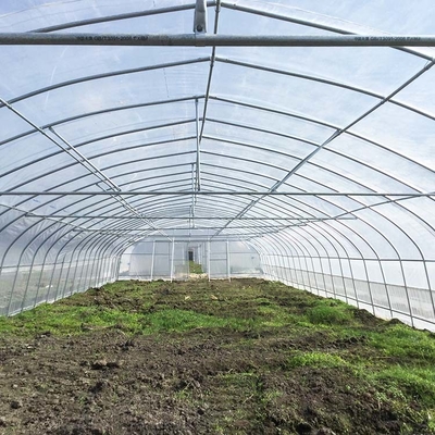 농업 프로젝트를 위한 높은 터널 150 마이크론 폴리에틸렌필름 단동 온실