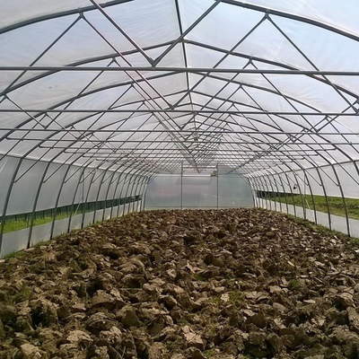틈새 농업 단동 플라스틱 터널 온실을 커버하는 시트