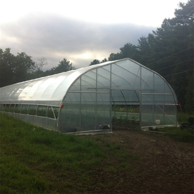 딸기 성장성을 위한 300 평방미터 터널 플라스틱 하얀 단동 온실