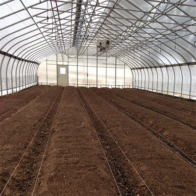 딸기 성장성을 위한 300 평방미터 터널 플라스틱 하얀 단동 온실