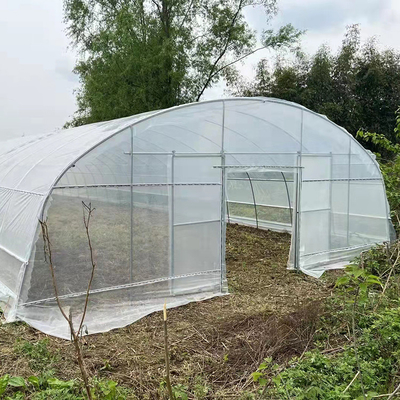 농업을 위한 곁창 환기 단동 온실을 성장시키는 딸기