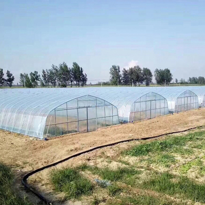 농업 야채 성장시키는 테 의회 영화 터널 온실
