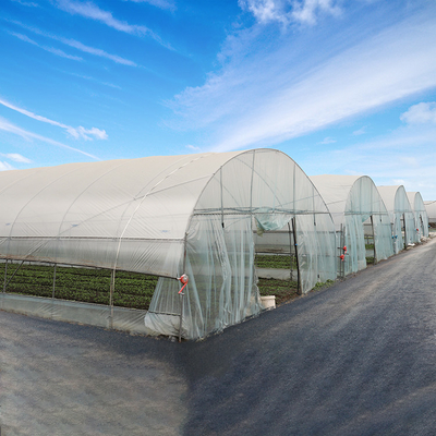 터널 농업 8m 온실 플라스틱 박막 폴리에틸렌 필름 온실