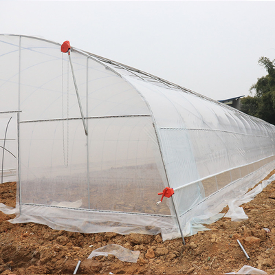 농업인 상업적인 단동 플라스틱 터널 온실