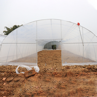 150 마이크론 필름과 단동 플라스틱 터널 딸기 온실