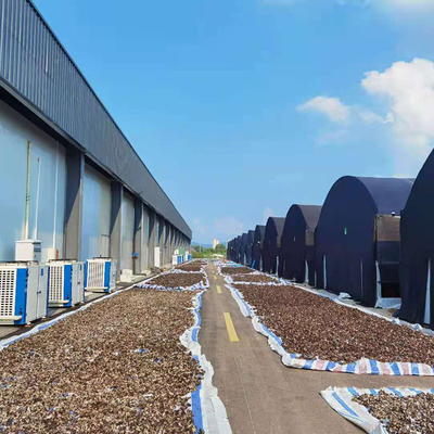 농업인 검은 차광망 터널 필름 버섯형 단동 온실