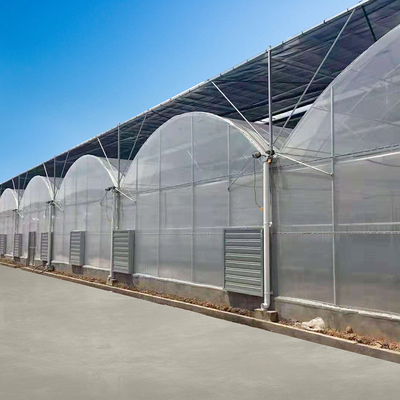 투명 유리 터널 멀티스팬 온실 식물 재배