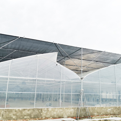플랜팅하는 야채를 위한 태양광 높은 더블 아치 다중 전폭 온실