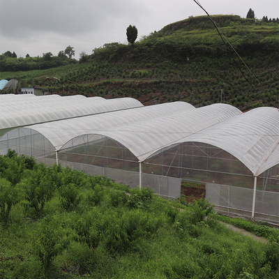 딸기를 위한 높은 터널 다중 전폭 온실 플라스틱 폴리에틸렌필름
