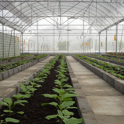 뜨거운 아연도강 수경법 토마토 다중 전폭 온실 야외 농업