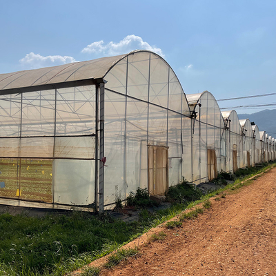 재배를 위한 시스템 플라스틱 박막 다중 전폭 온실을 성장시키는 농업