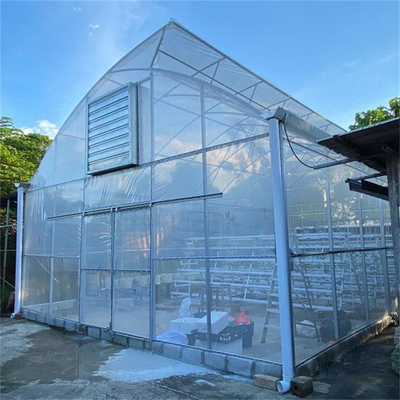 토마토 이식을 위한 반대 적하하는 플라스틱 박막 온실 10m 폭
