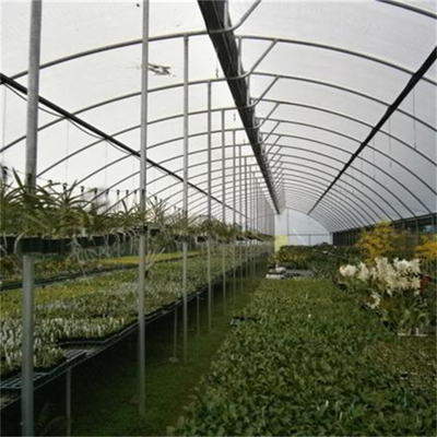 커버된 열대 톱 교배 배출구 농업 소투스 온실 플라스틱 박막