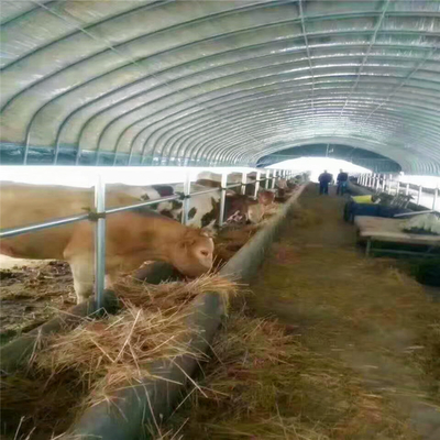 양 닭을 위한 폴리 터널 온실 가금류 사육장