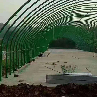 가금류 사육장 축산과 가금 육종을 위한 닭 폴리 터널 온실